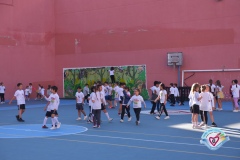 GSB_3035