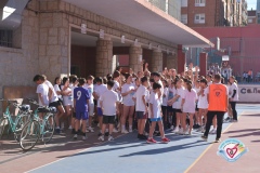 GSB_3144