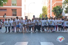 GSB_3206