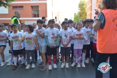 GSB_3212