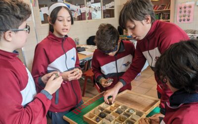 Los minerales en Primaria