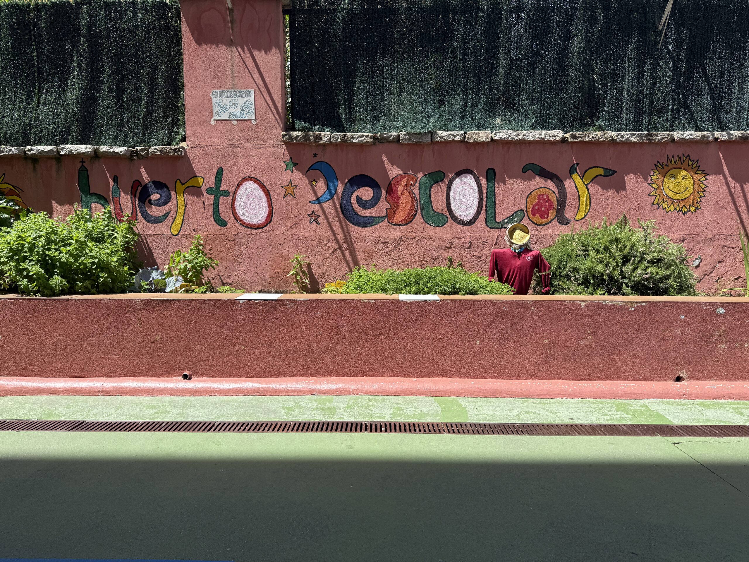 Huerto (2)