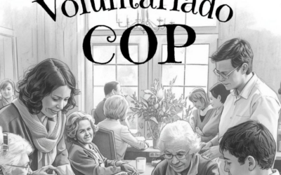 Voluntariado