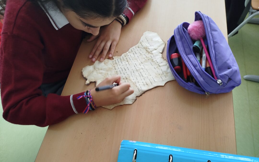 Cartas desde el frente