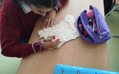 Cartas desde el frente