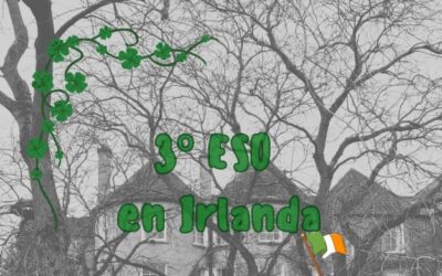 Inmersión Lingüística en Irlanda 3º ESO