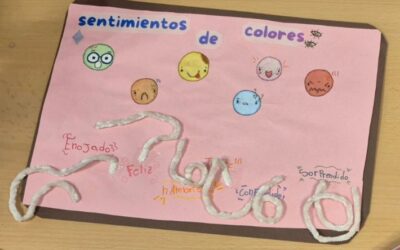 Los 5 sentidos
