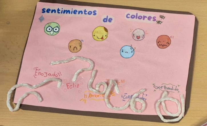 Los 5 sentidos