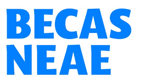 Becas para alumnado NEAE