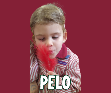 Programa PELO