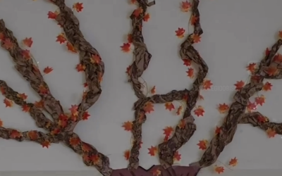 Conoce nuestro Aula Natura