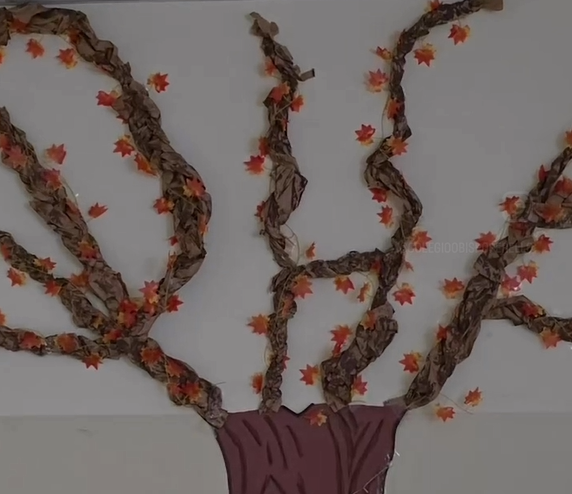 Conoce nuestro Aula Natura