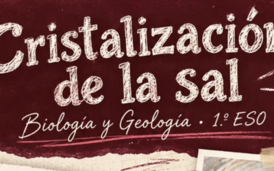 Cristalización de la sal